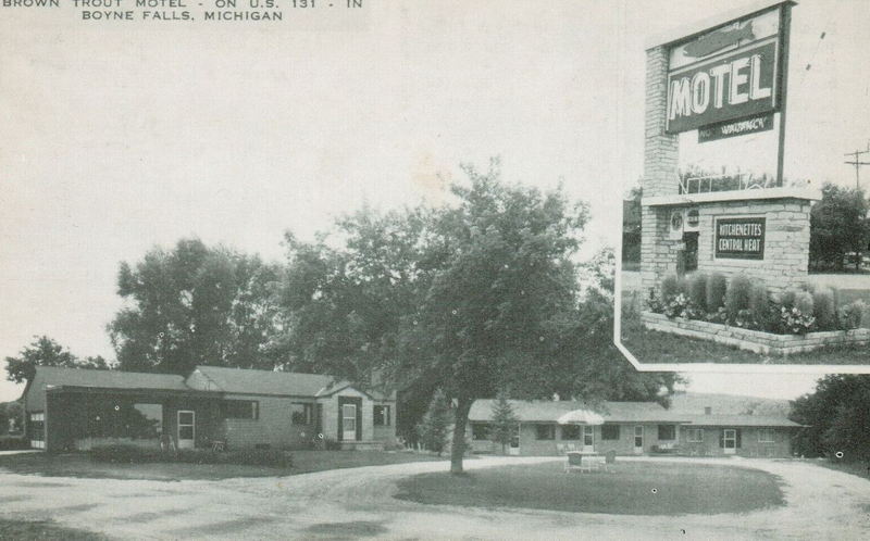 Brown Trout Motel - Vintage Postcard
